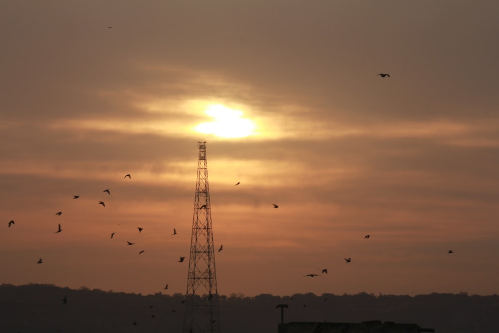 a tower with birds flying around