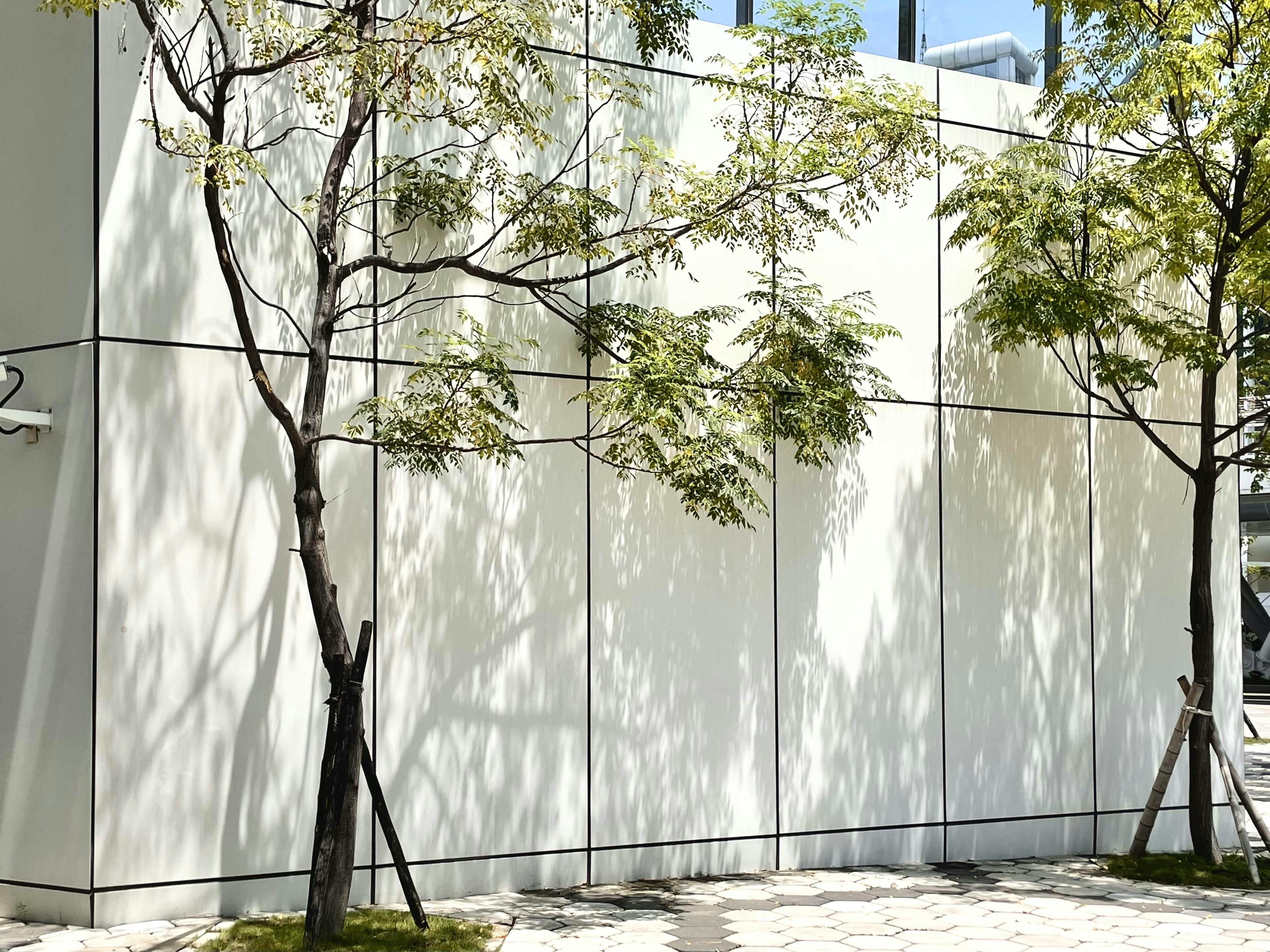 Photo by liulingchun