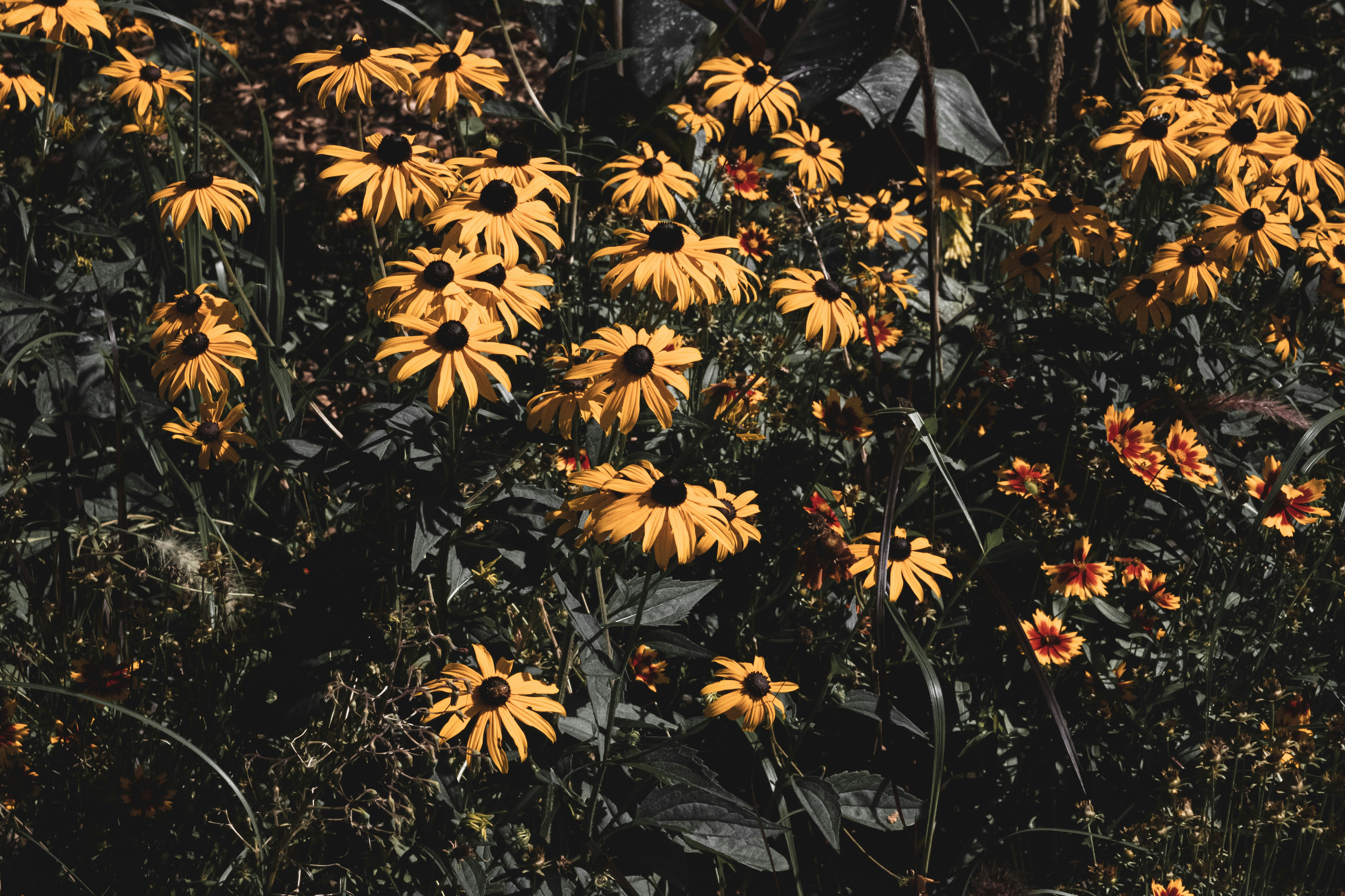 Photo by hckmstrrahul