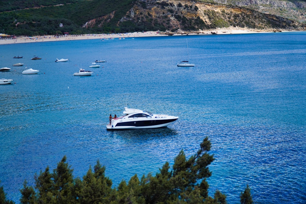 a group of boats on a body of water