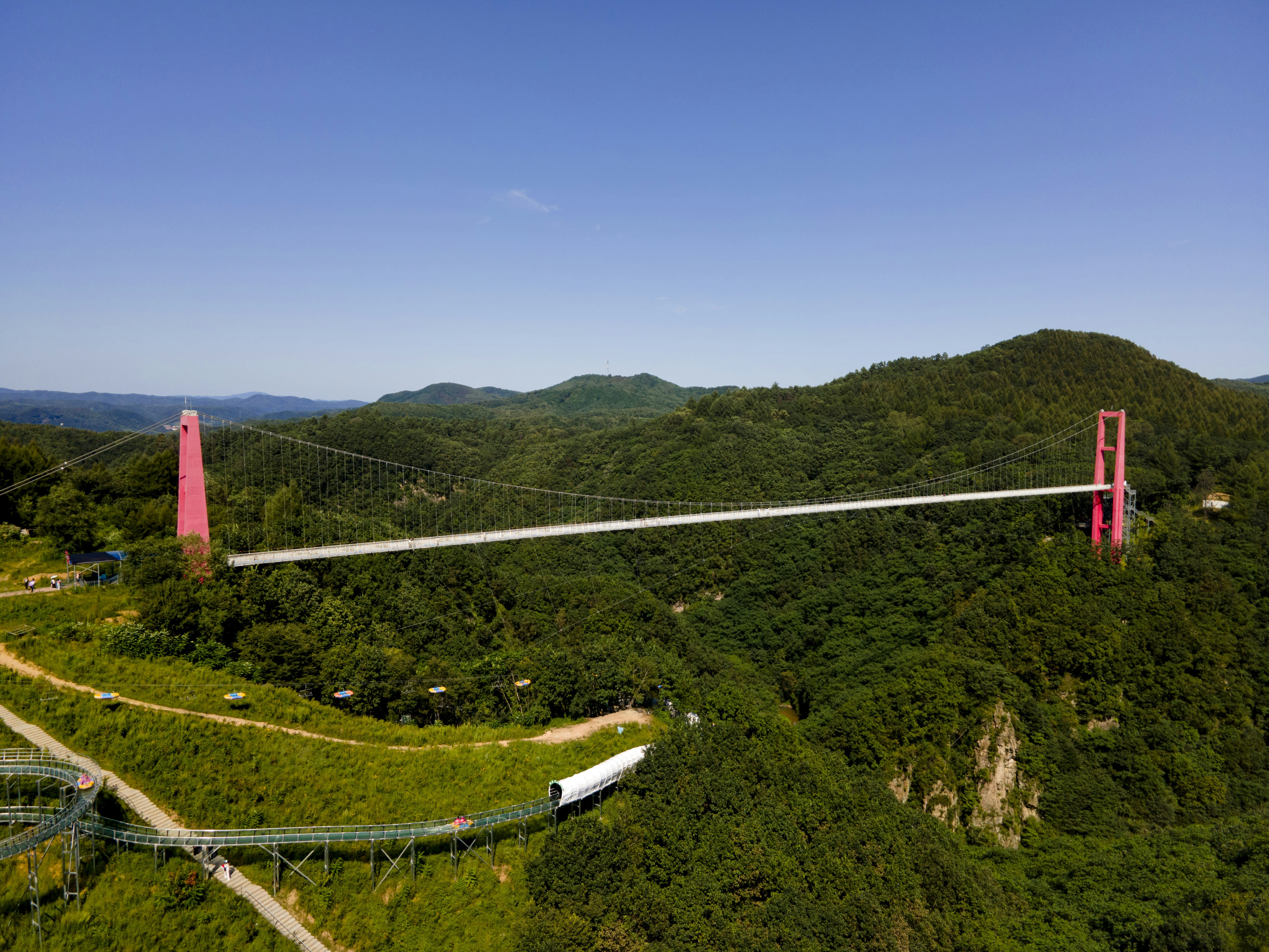 Foto Un tren atravesando un bosque – Imagen Puente gratis en Unsplash