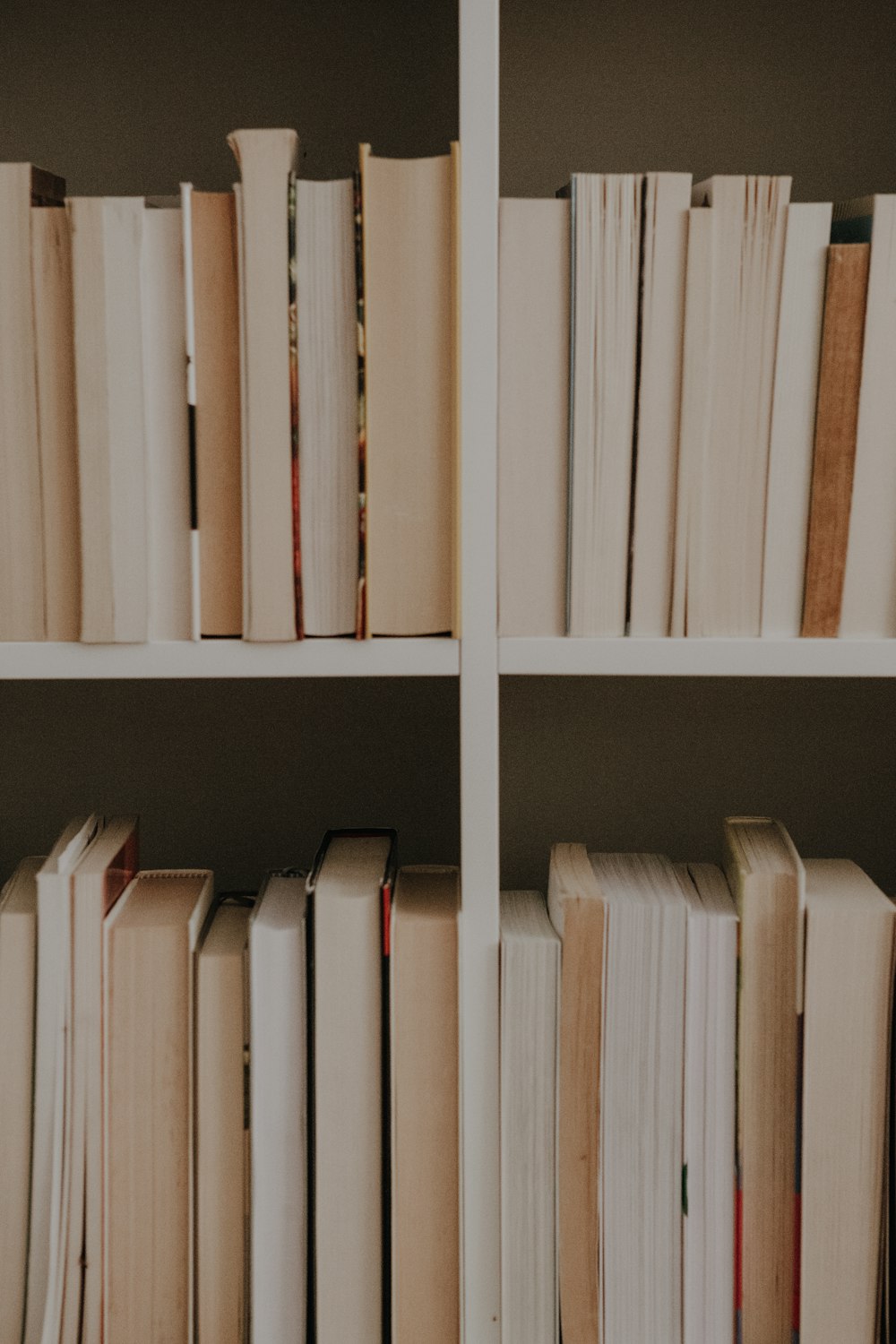 a row of books on a shelf