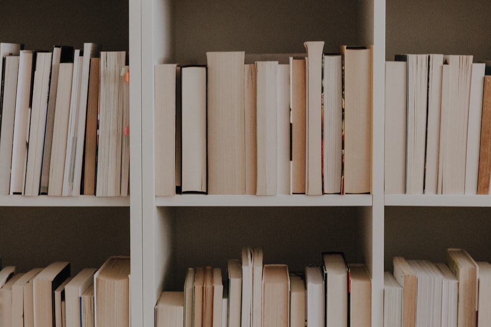 a row of books on a shelf