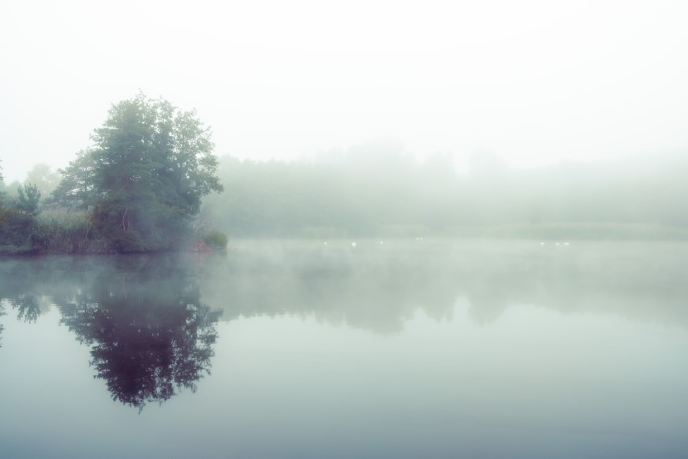 a body of water with trees and fog around it