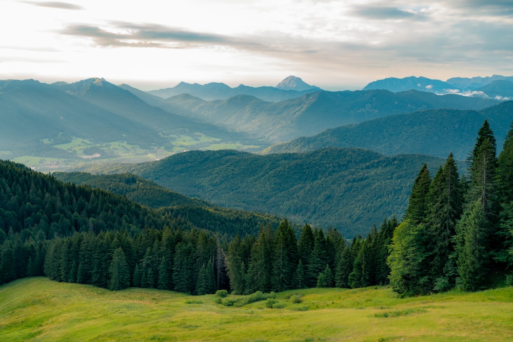 a landscape with trees and mountains in the back