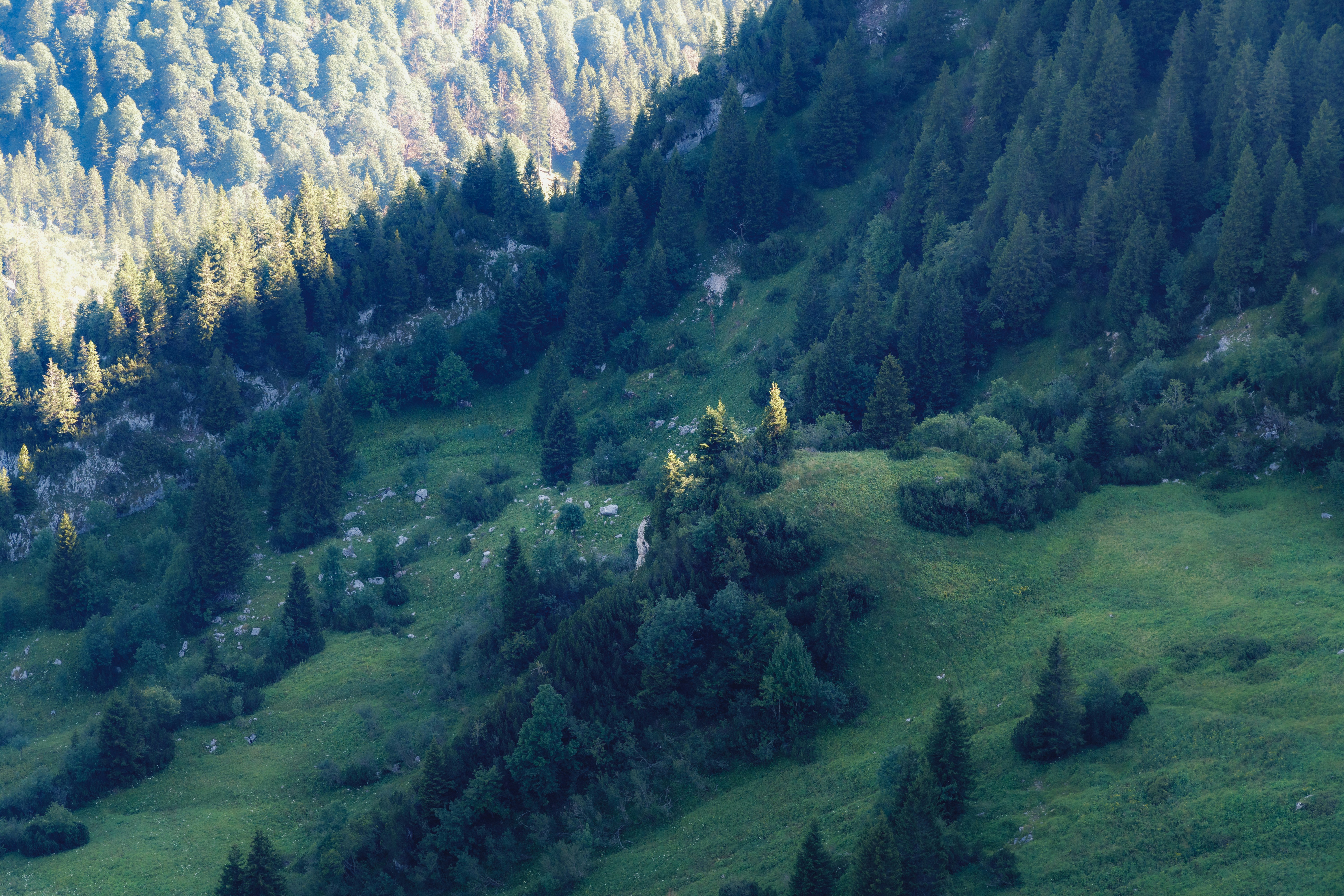 Photo by danielsessler