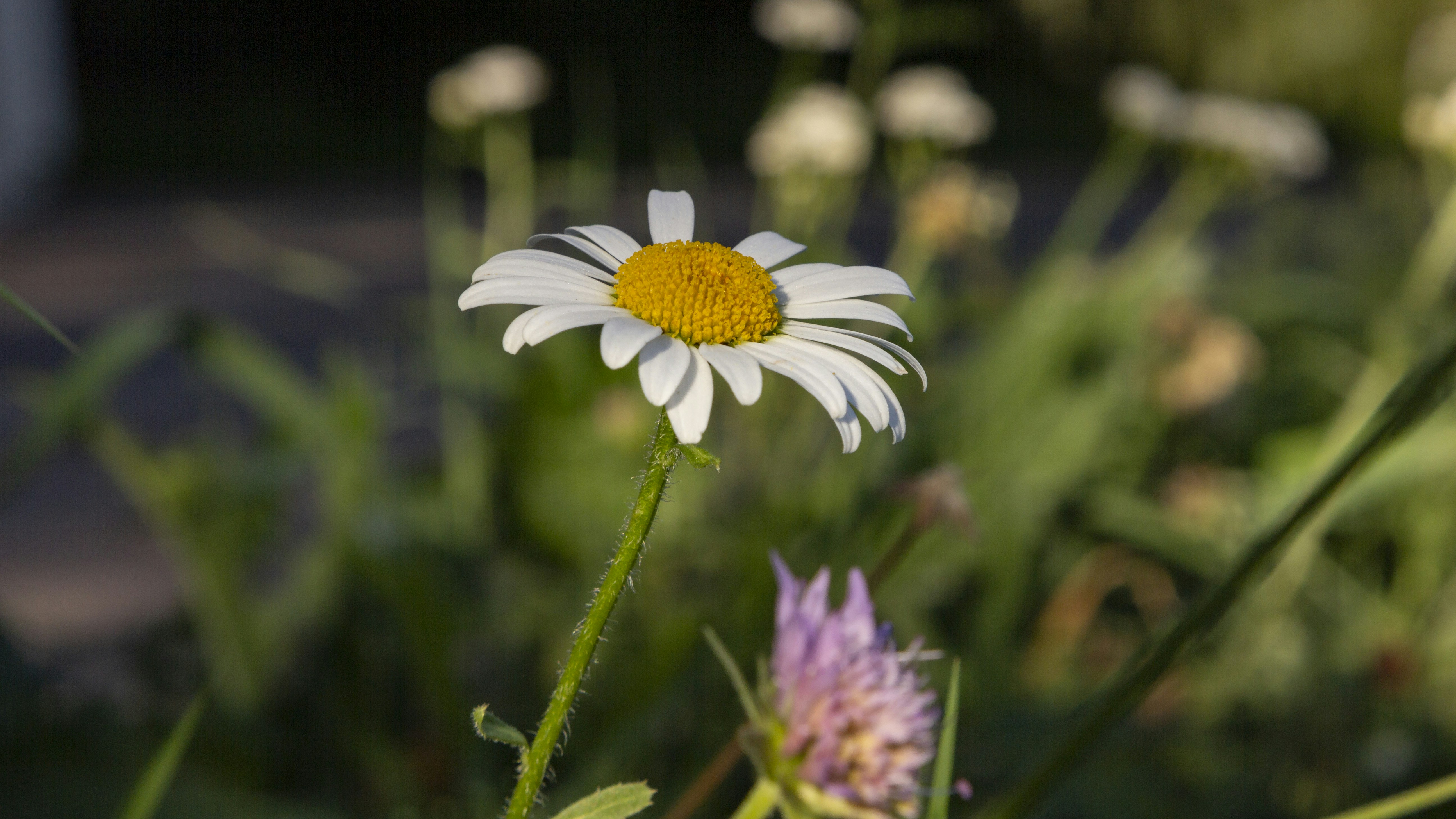 Photo by shutter_speed_