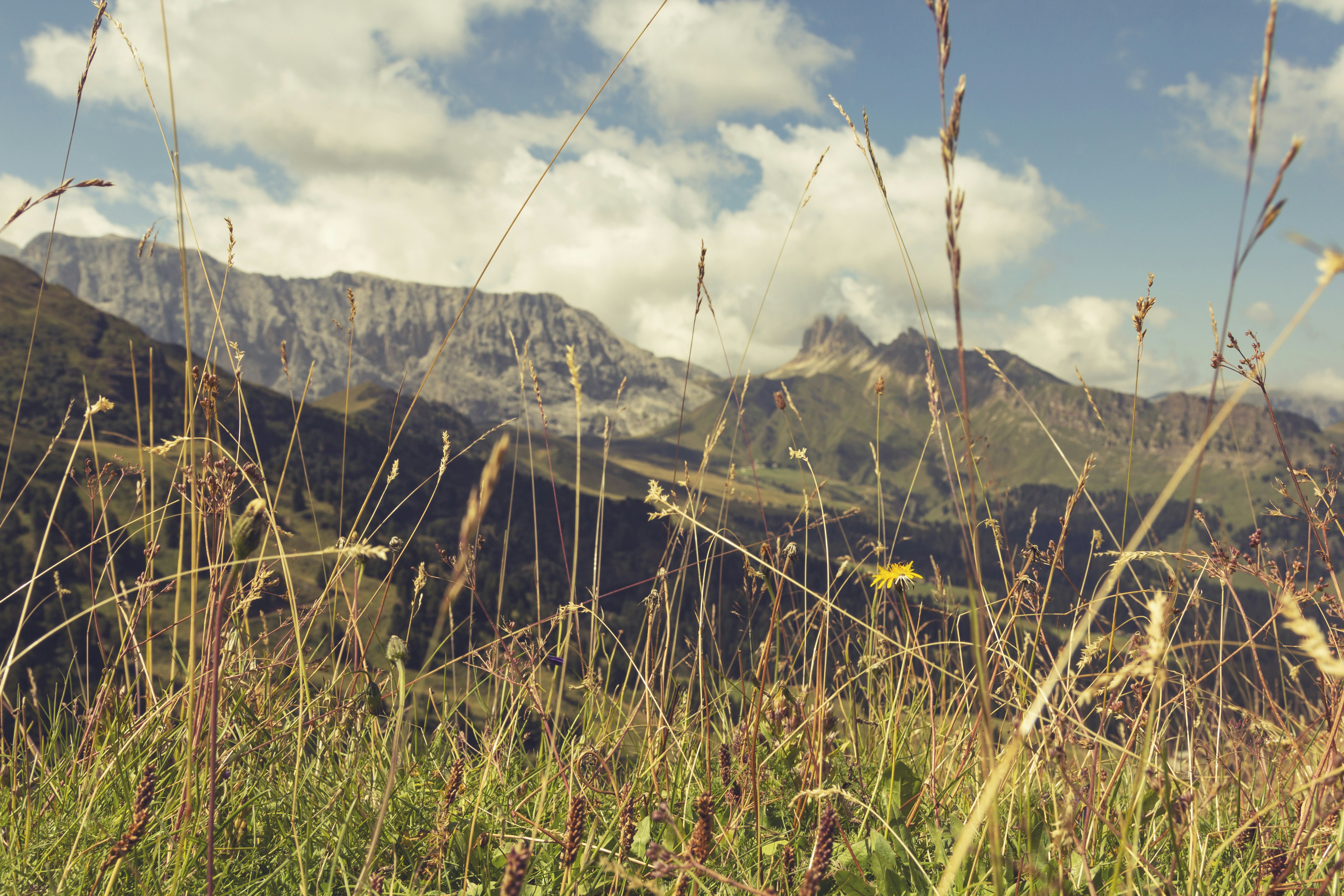 Photo by shutter_speed_