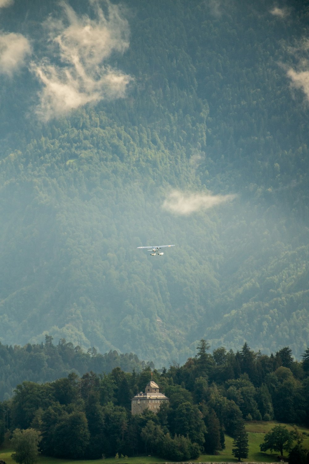 a plane flying over a forest