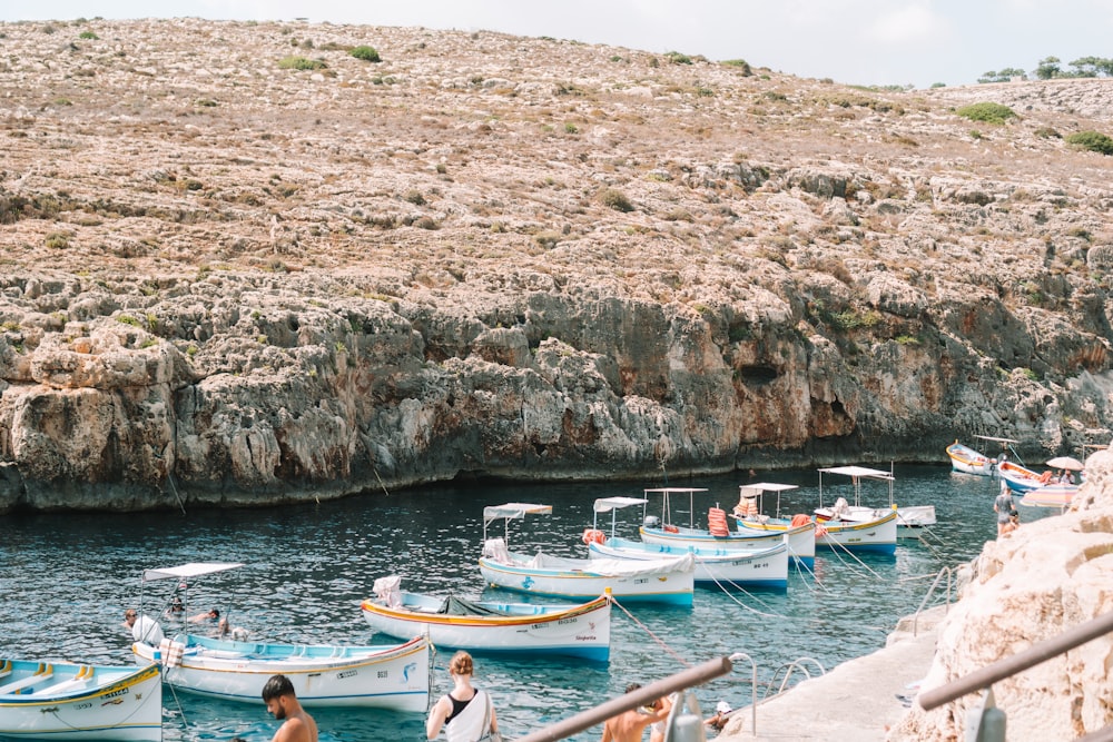 a group of boats sit in a harbor