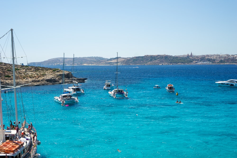 a group of boats in a body of water