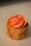 A pastel-colored layered cup cake with delicate frosting swirls and a small flower decoration on top.