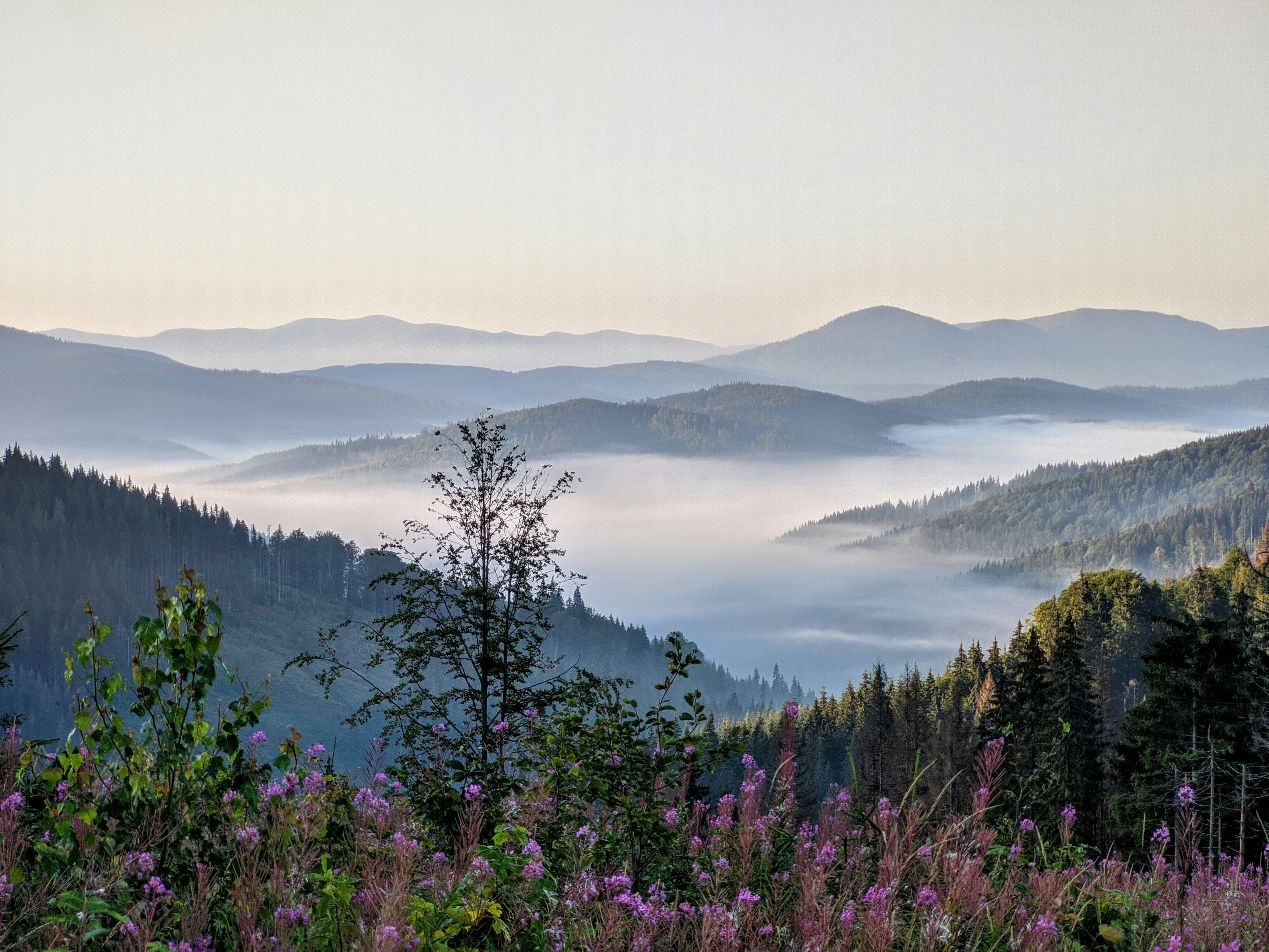 Photo by daniel_smith