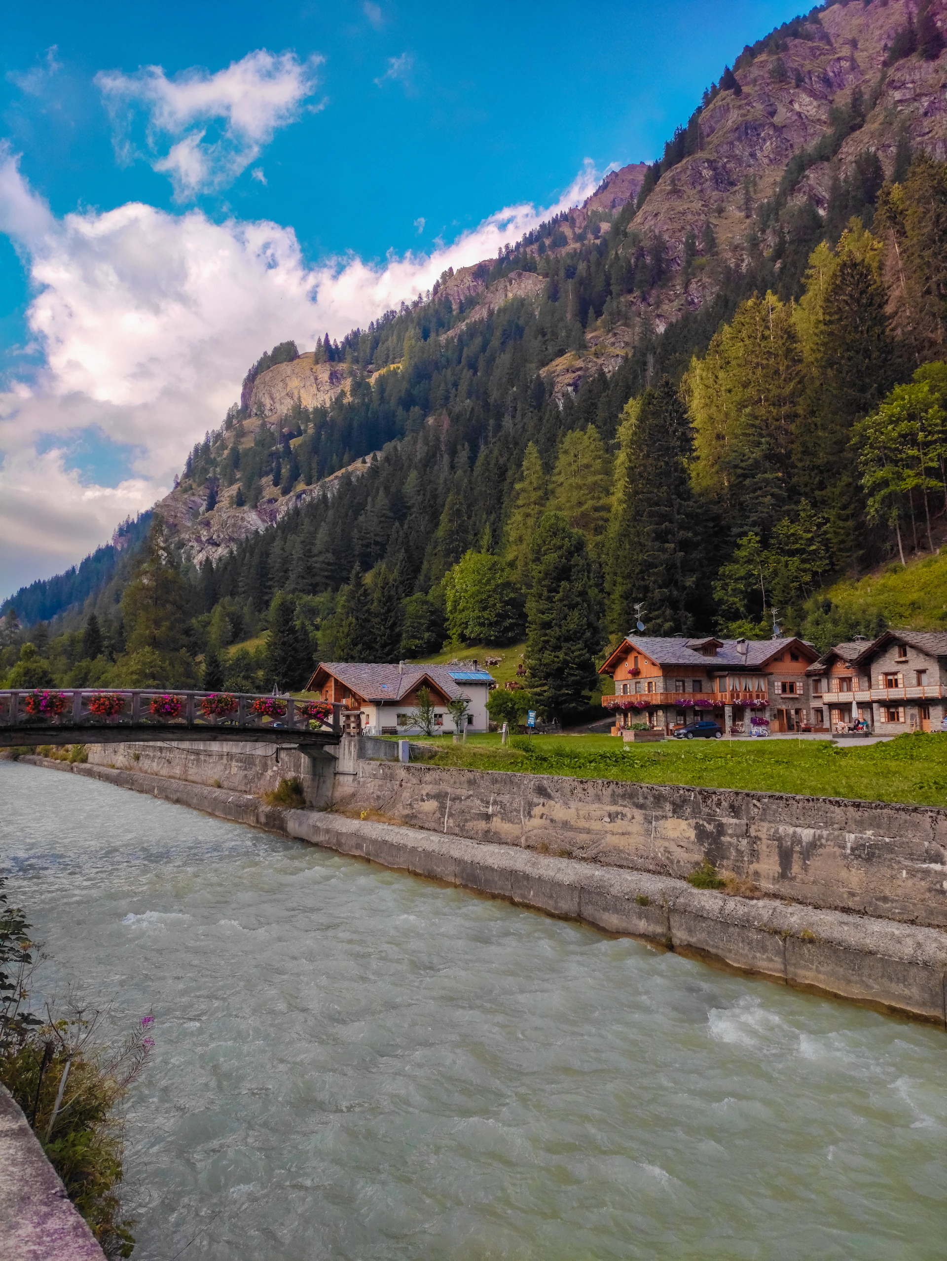 a river with a house and trees by it