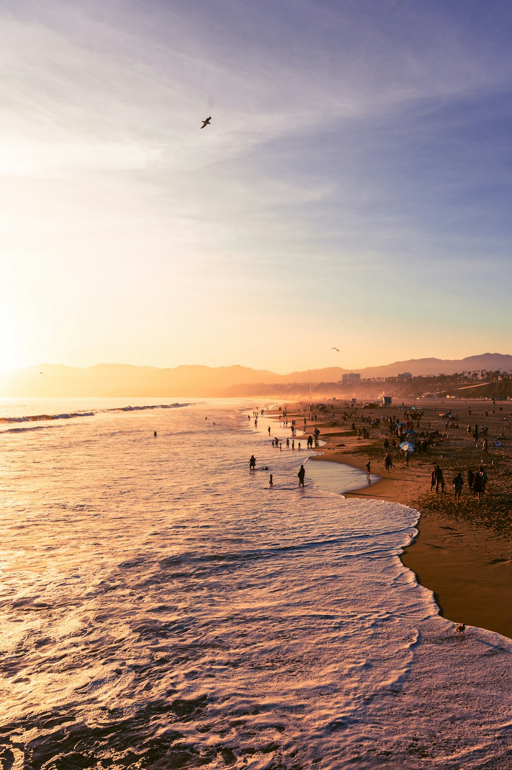 a group of people on a beach