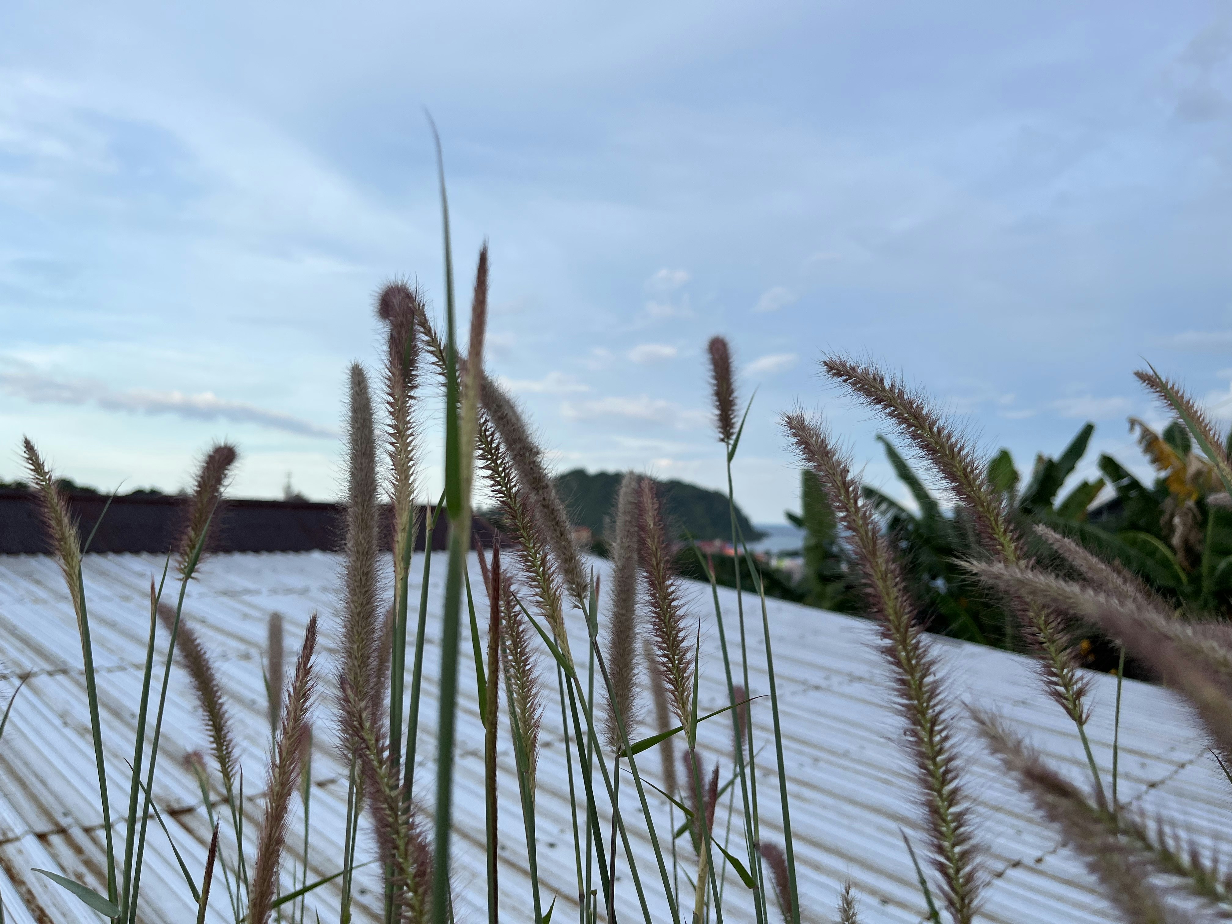 Best Day Trips from Padangsidempuan (2026 Guide)