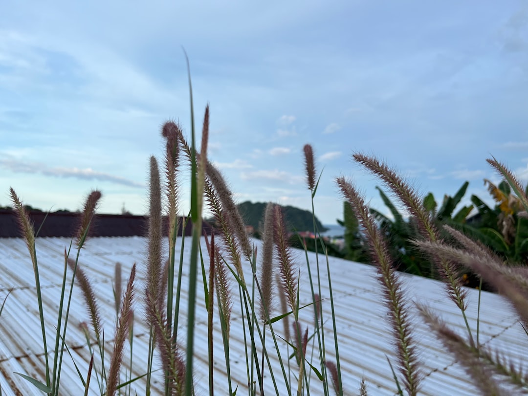 Landscape photo spot Jayapura Papua