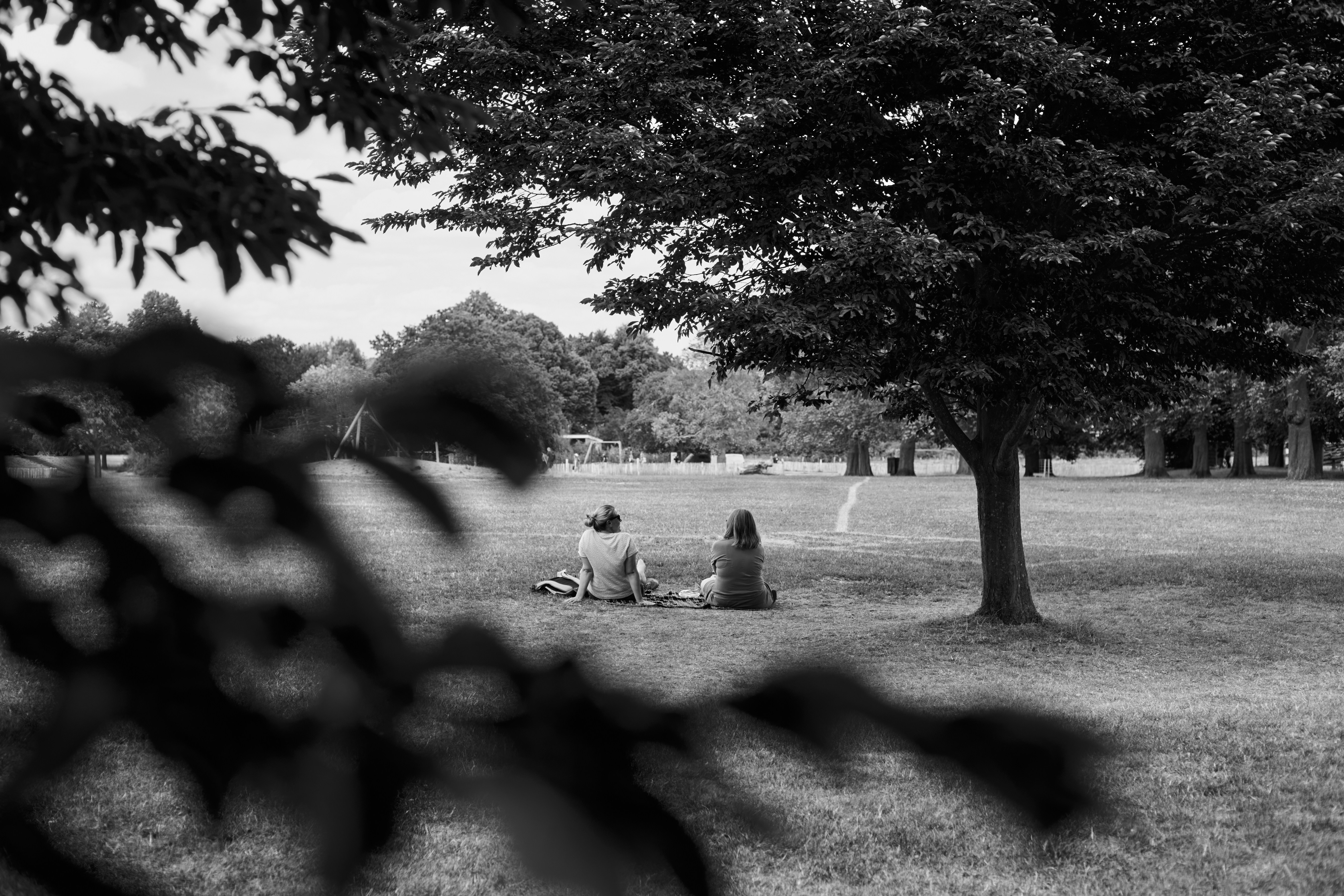 Photo by sionsylvester