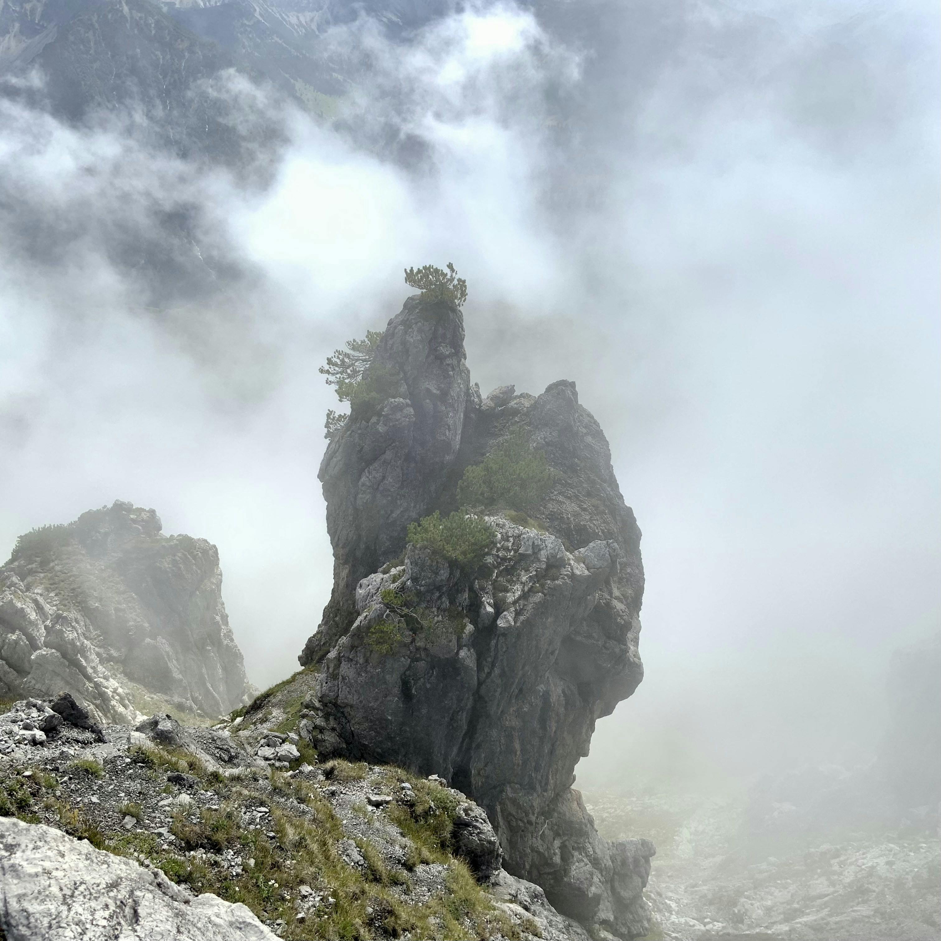 Photo by vonmitzscha