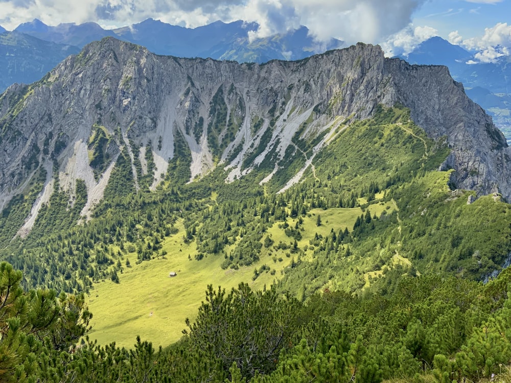 a landscape with trees and mountains