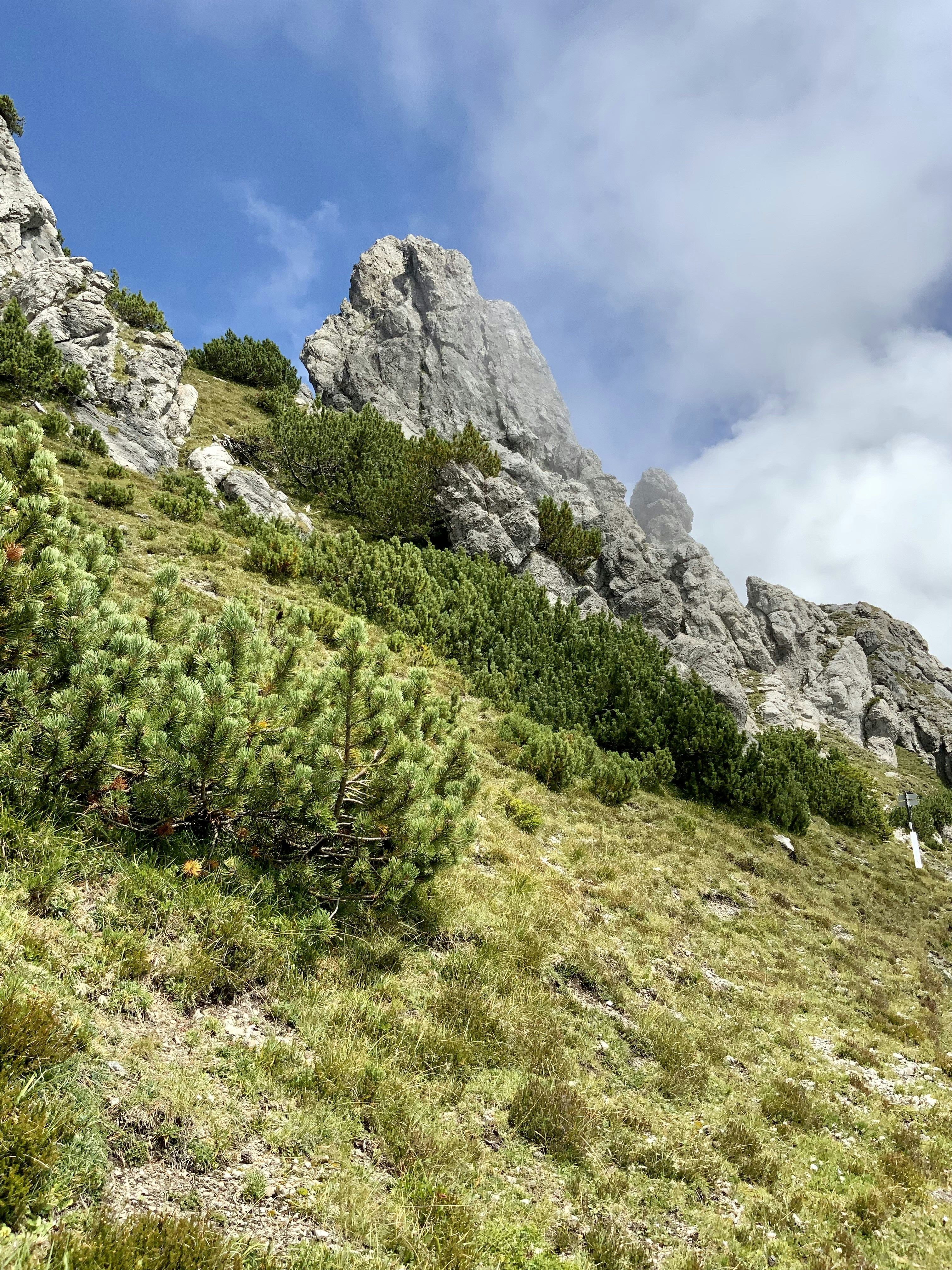 Photo by vonmitzscha