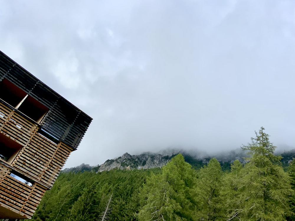 a building with trees in the back