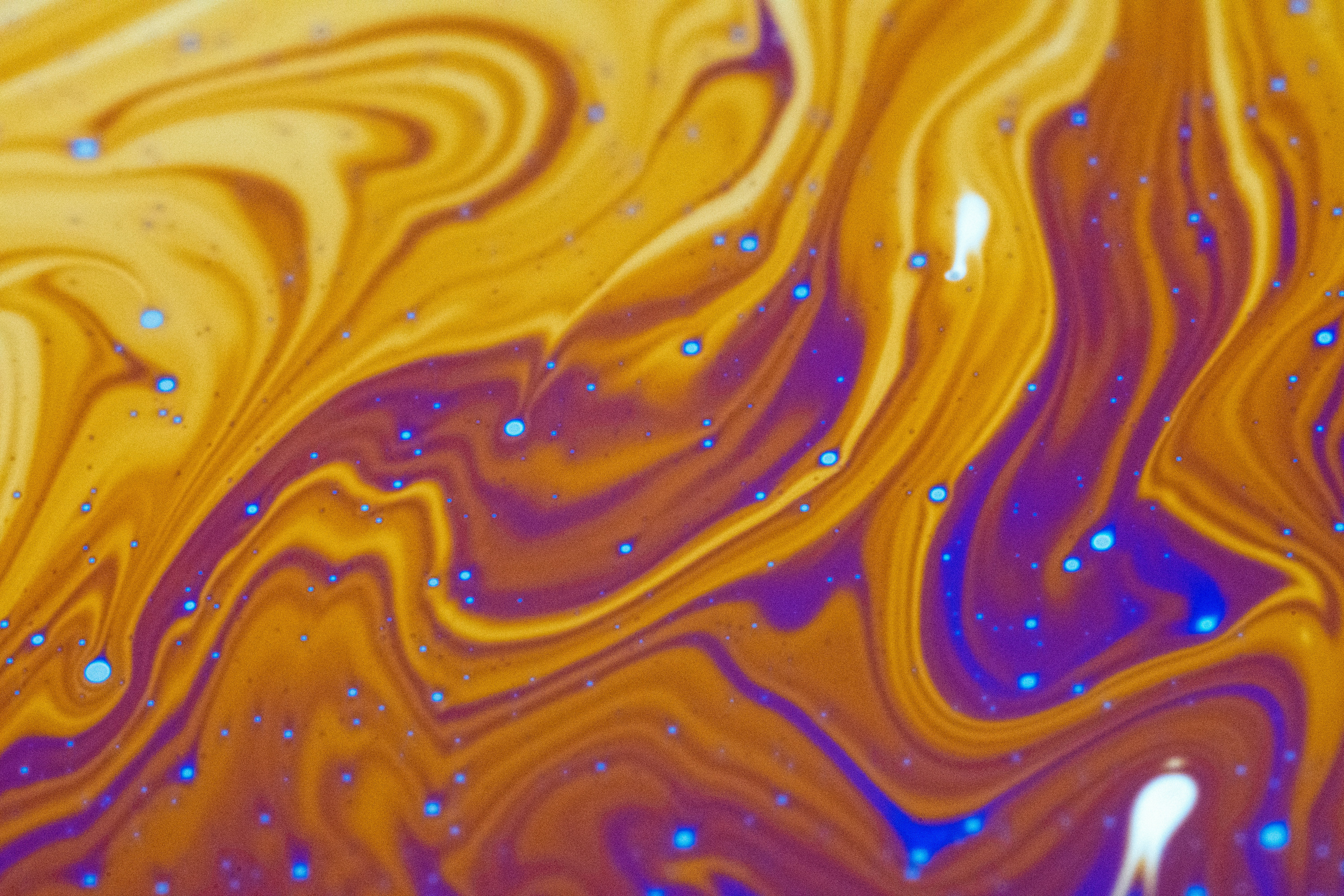 Photo by marcoangelo