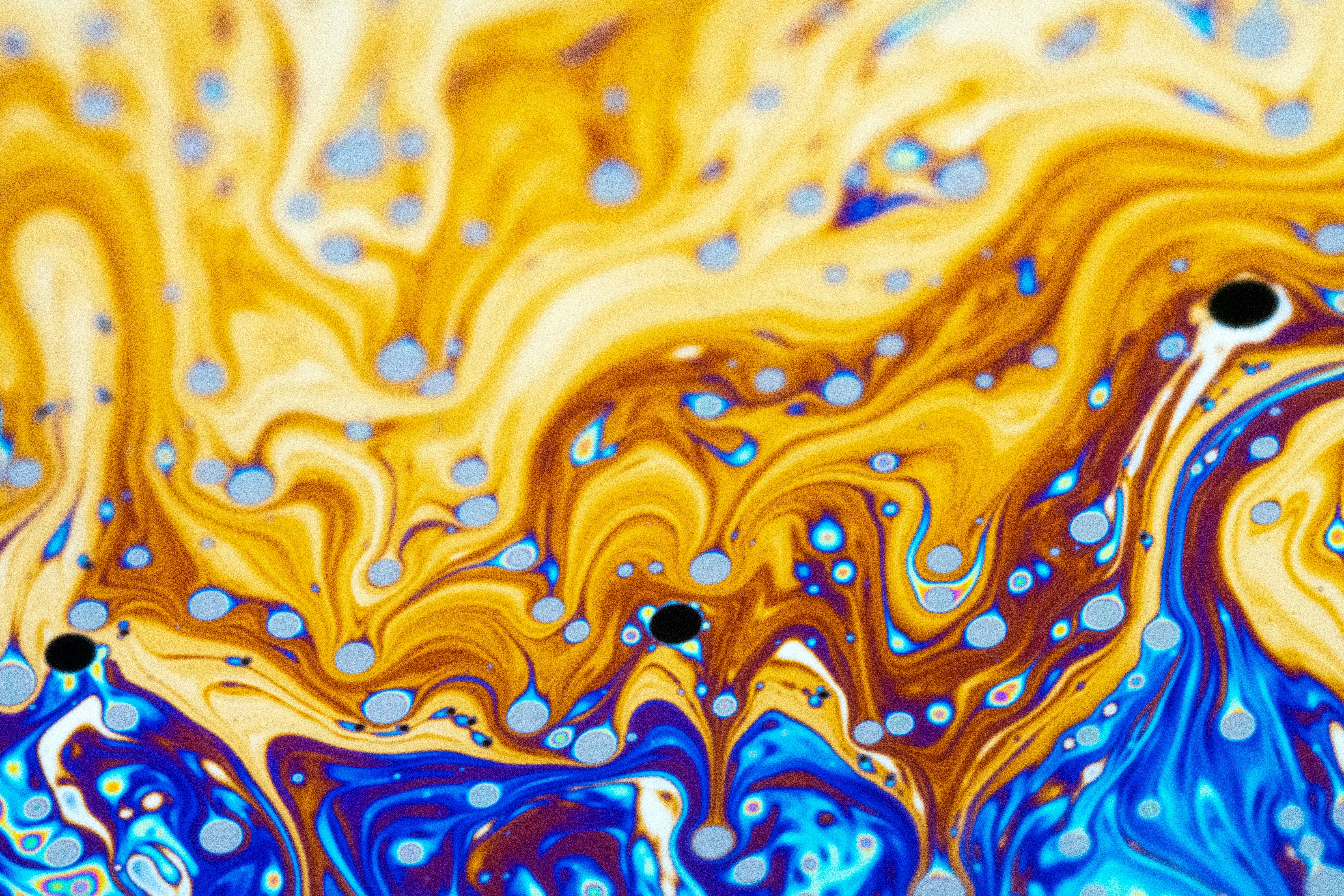 Photo by marcoangelo