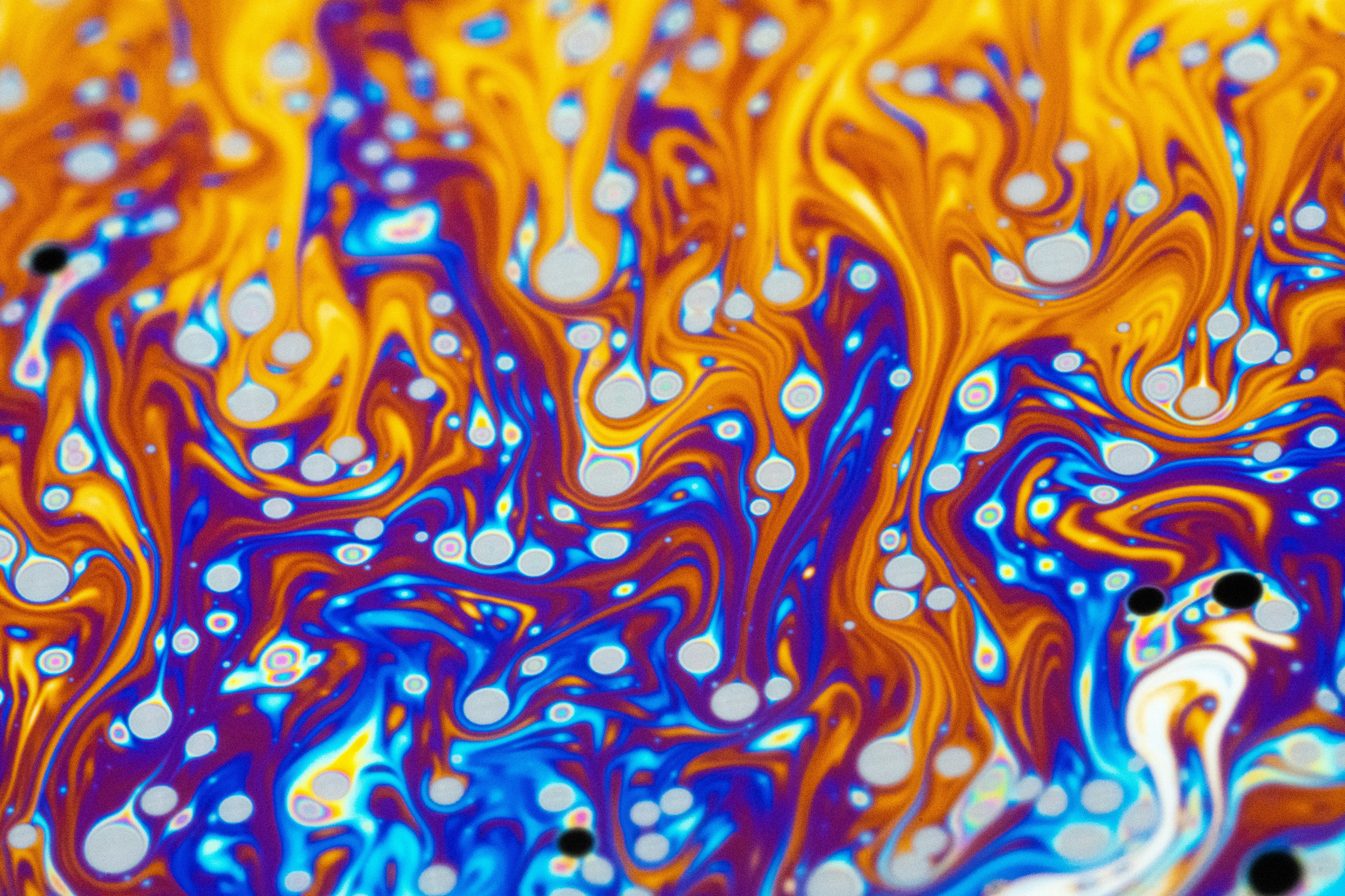 Photo by marcoangelo