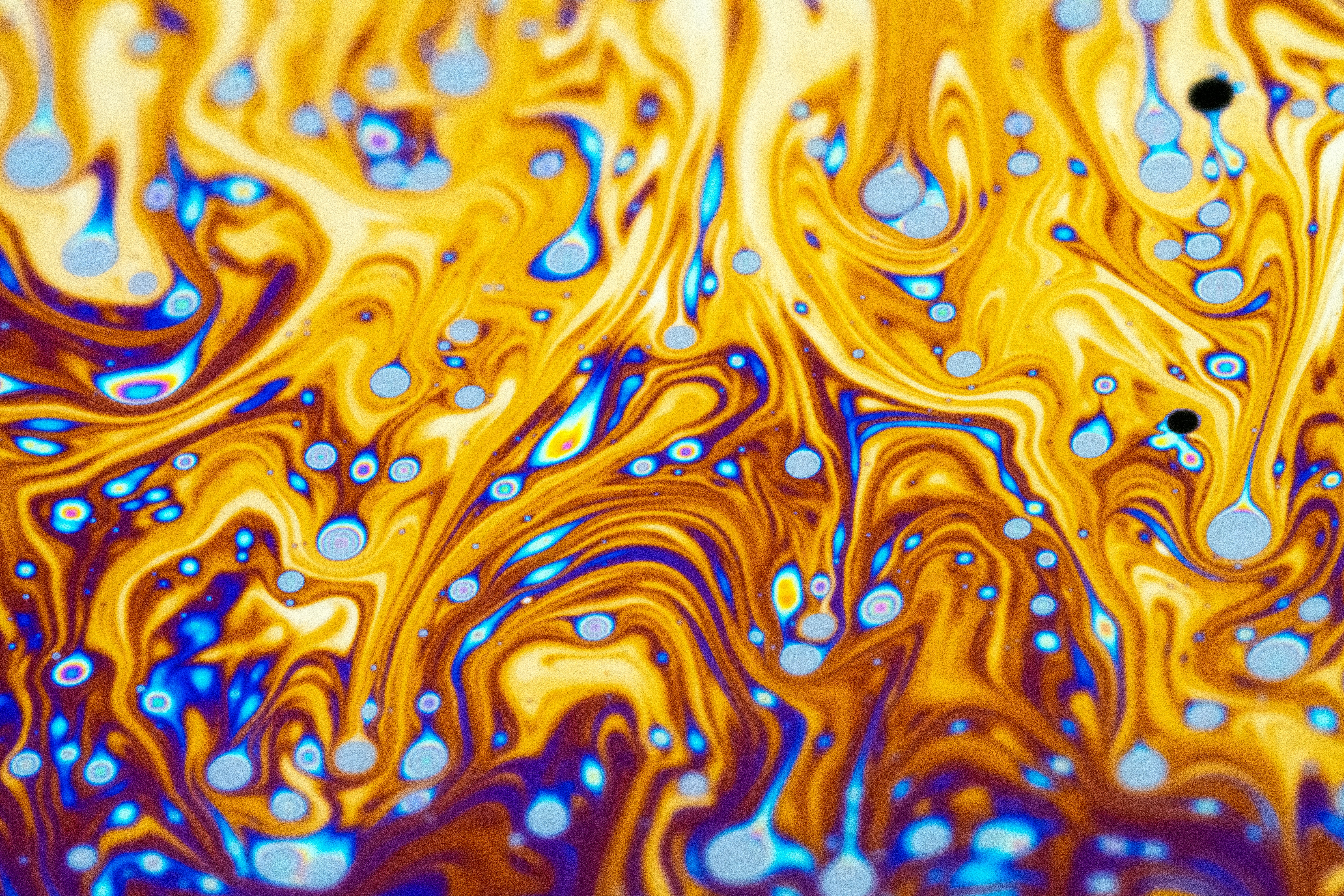 Photo by marcoangelo