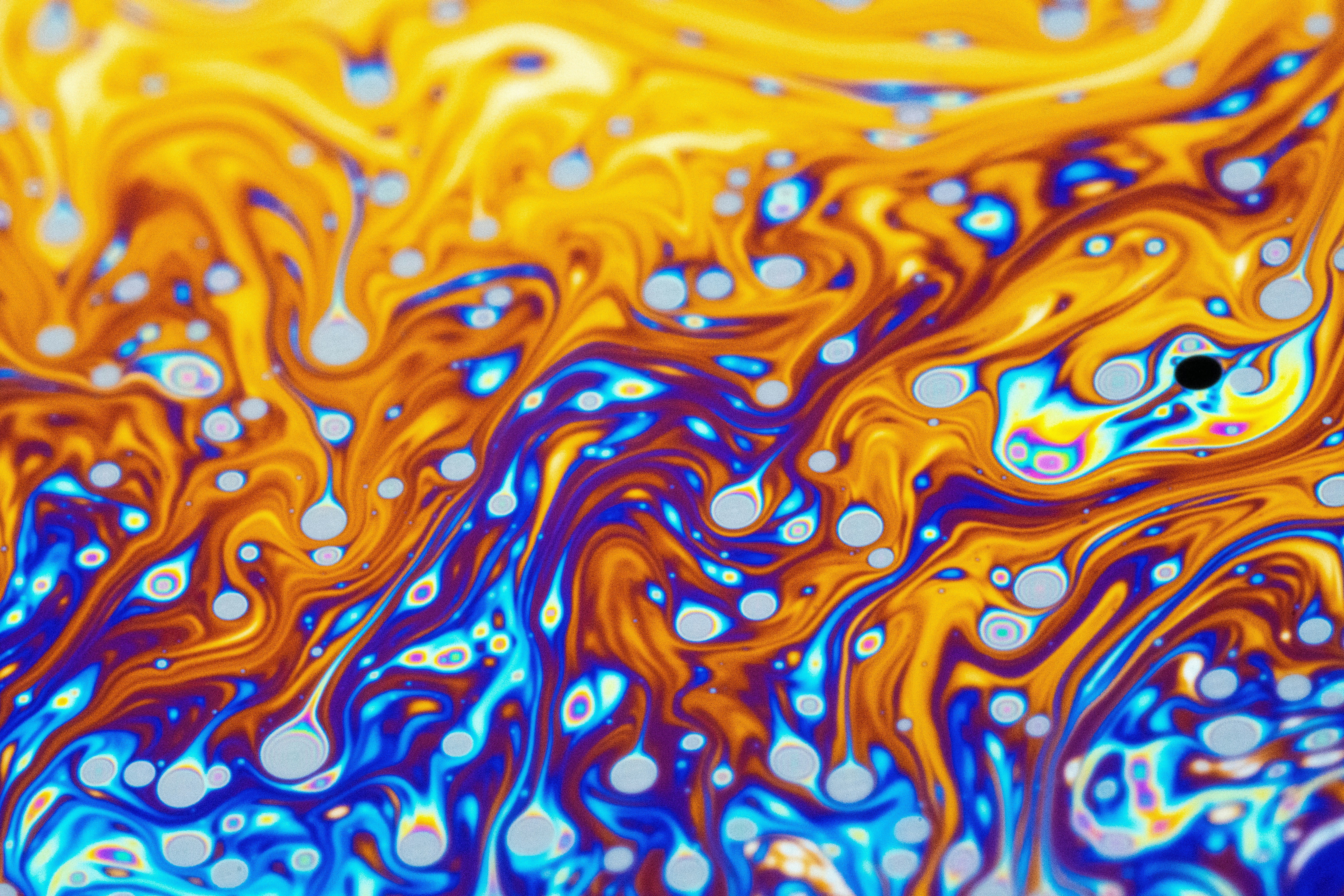 Photo by marcoangelo