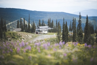 A scenic mountain landscape featuring a building, possibly a ski lodge, nestled among tall evergreen trees. The foreground has a meadow with purple flowers, and the background includes rolling hills covered with dense forest. The sky above is slightly overcast.