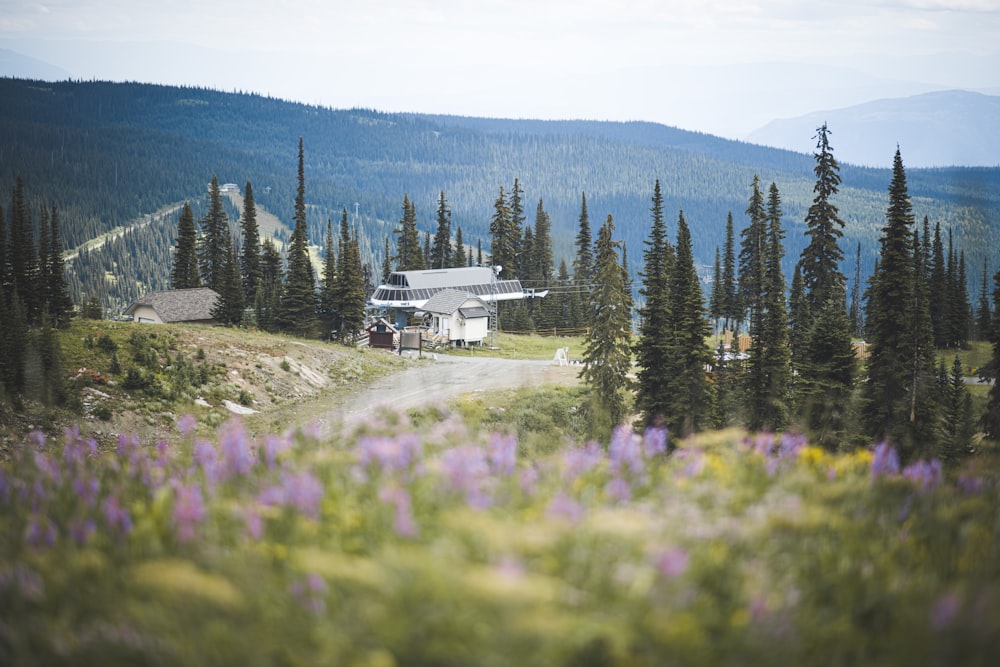 a house in the mountains