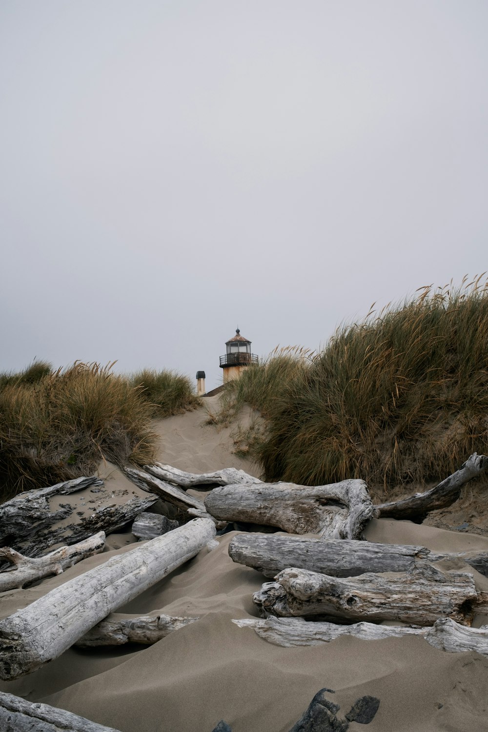 a sandy beach with a lighthouse