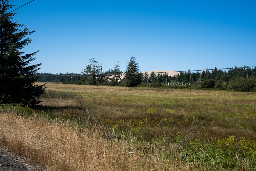 a grassy field with trees in the background