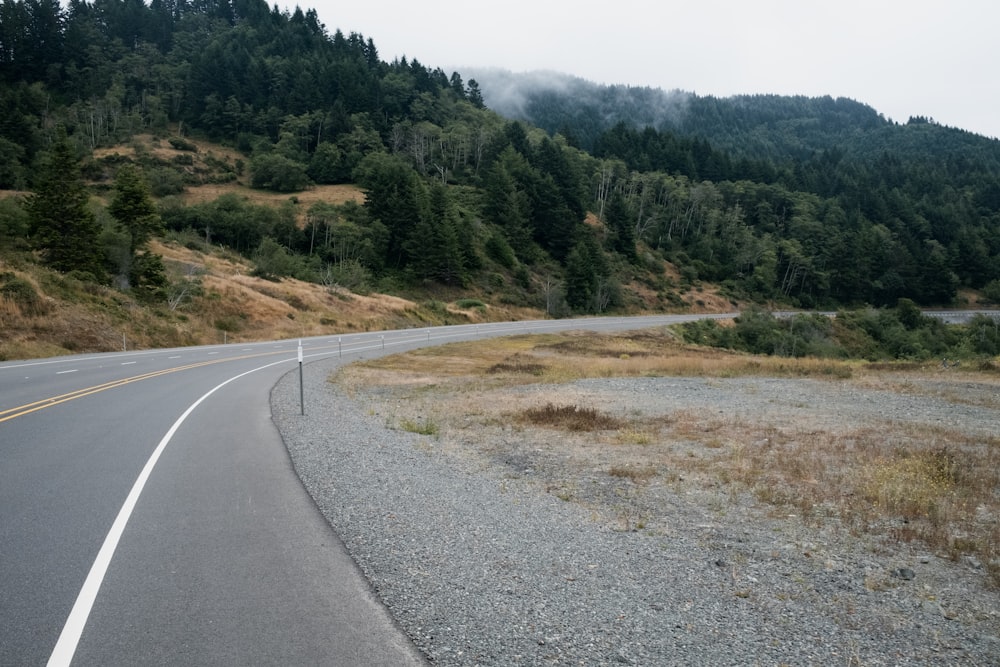 a road with trees on the side