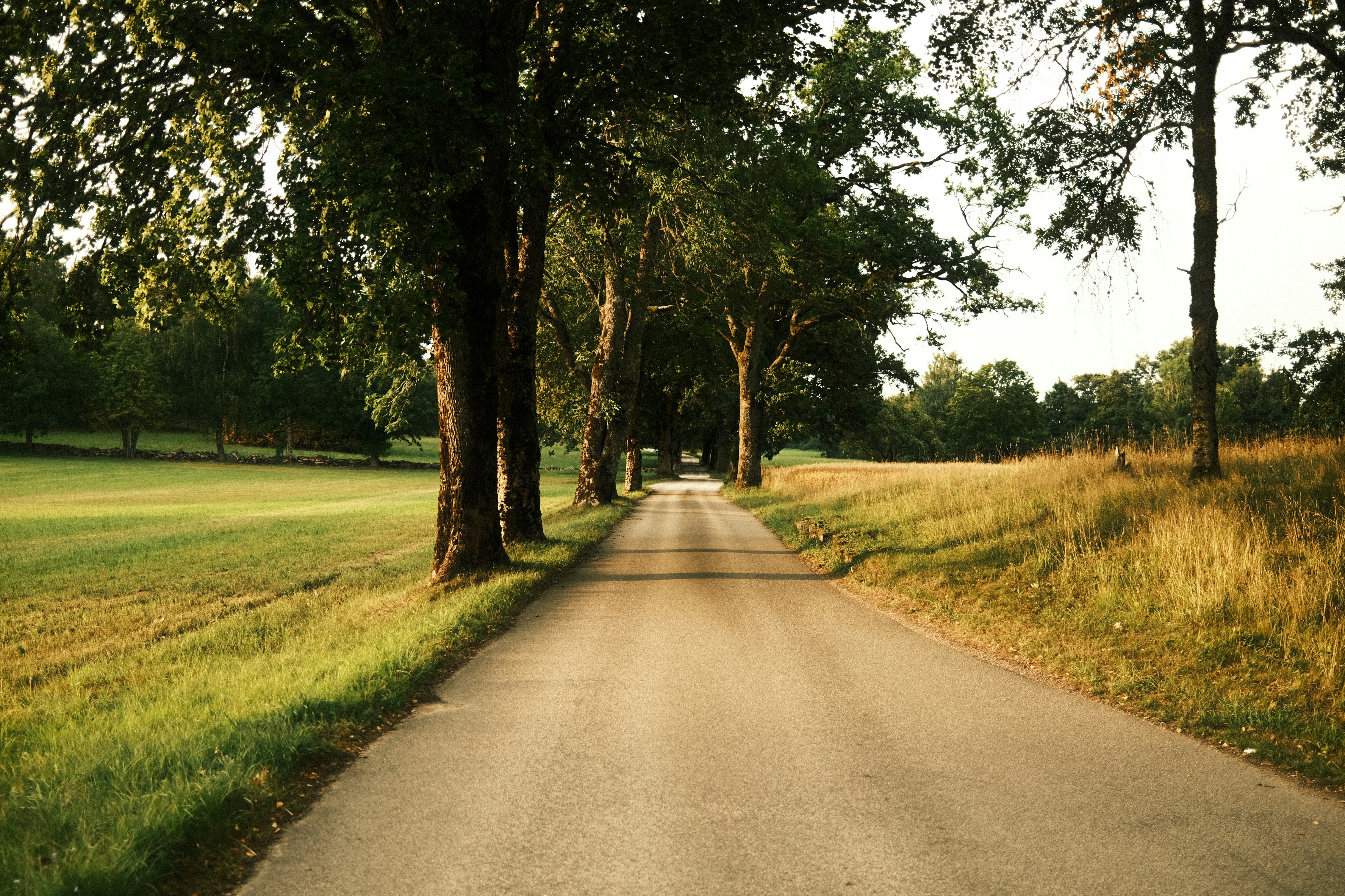 Photo by magnusjonasson