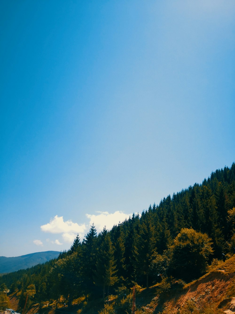 a landscape with trees and hills