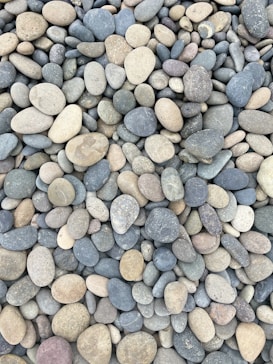 a pile of rocks