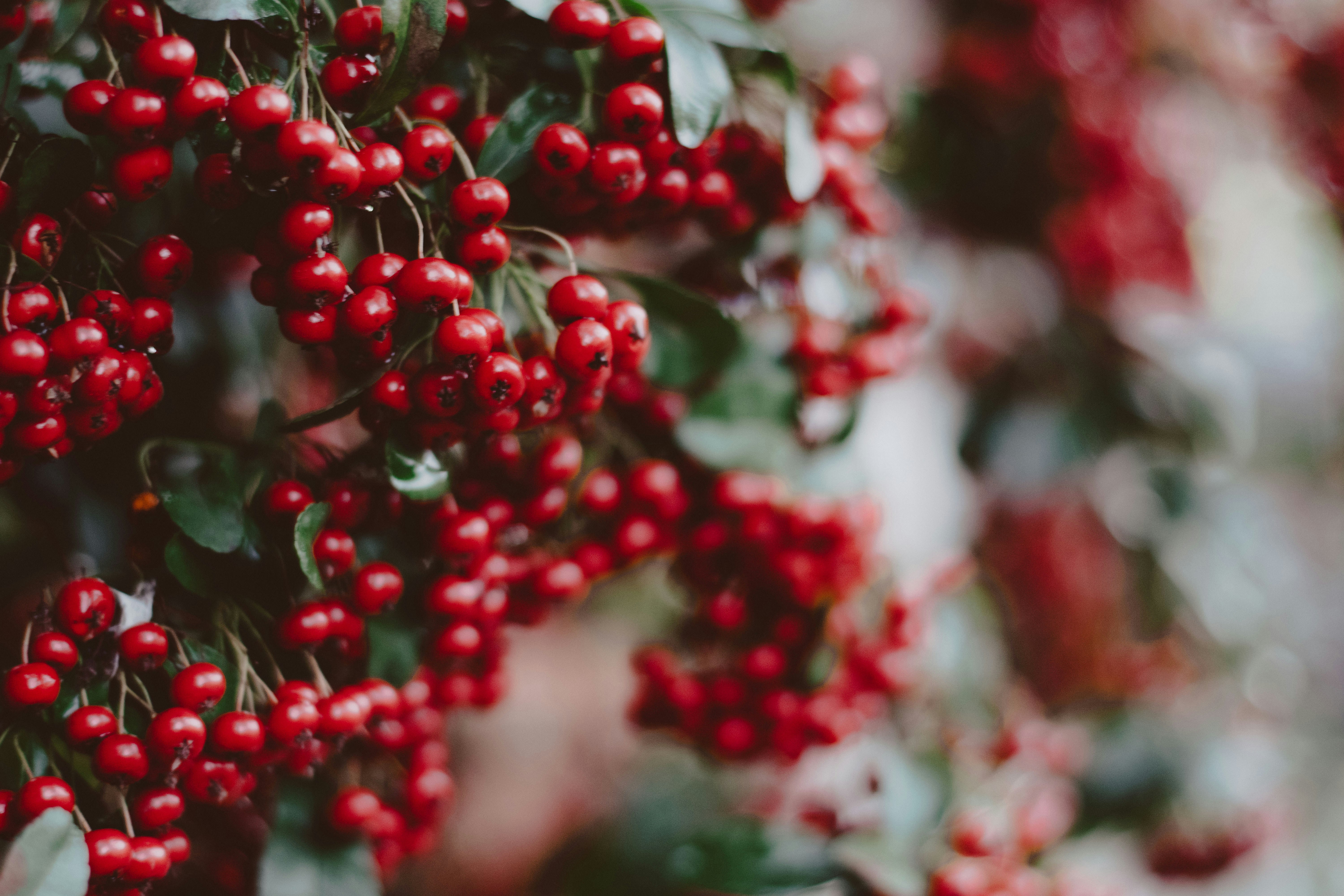 Photo by bnsouzafotografia