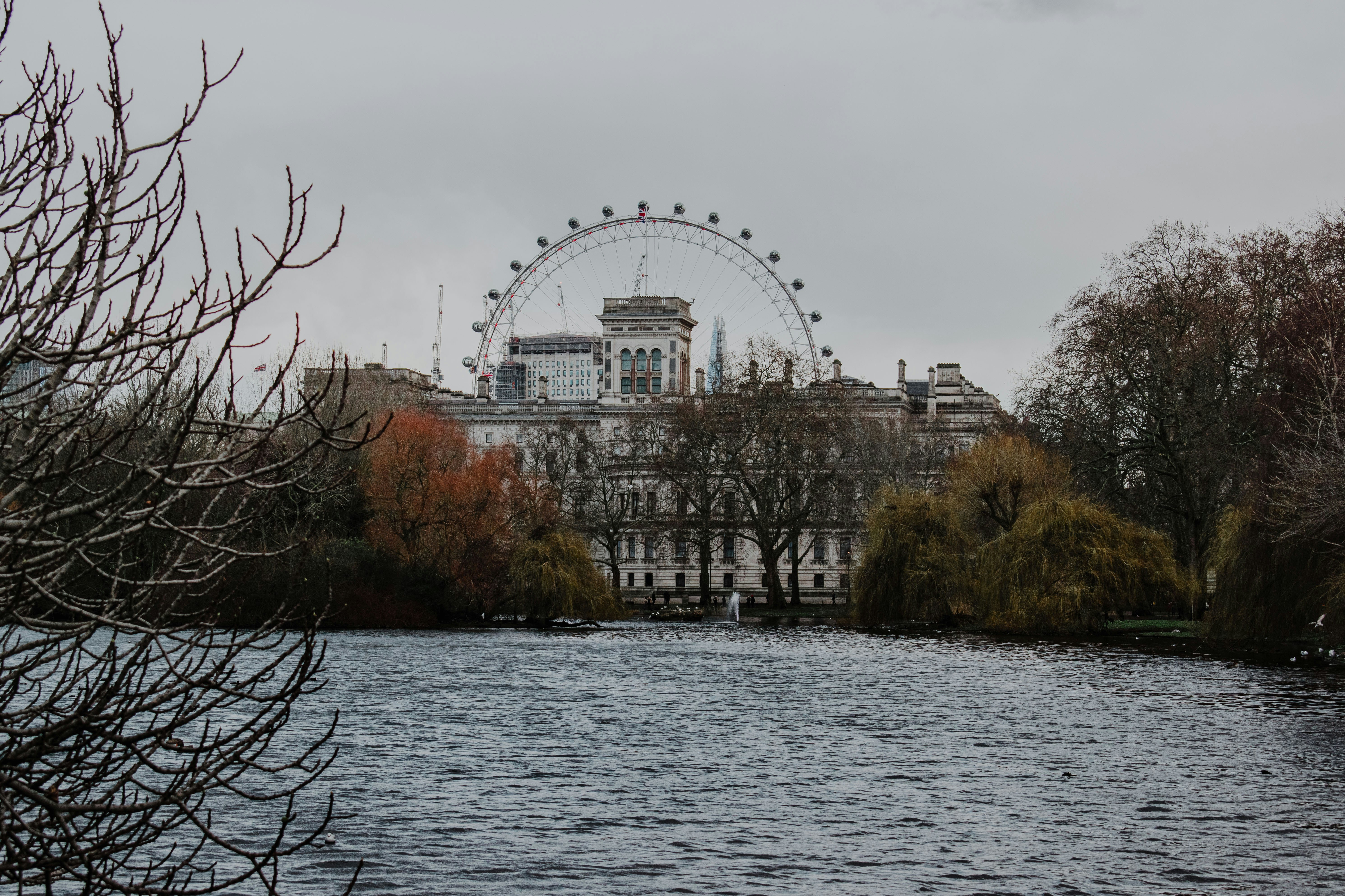 Bare winter trees around the lake in St James's Park, with Whitehall's rooftops and the London Eye behind under a gray sky