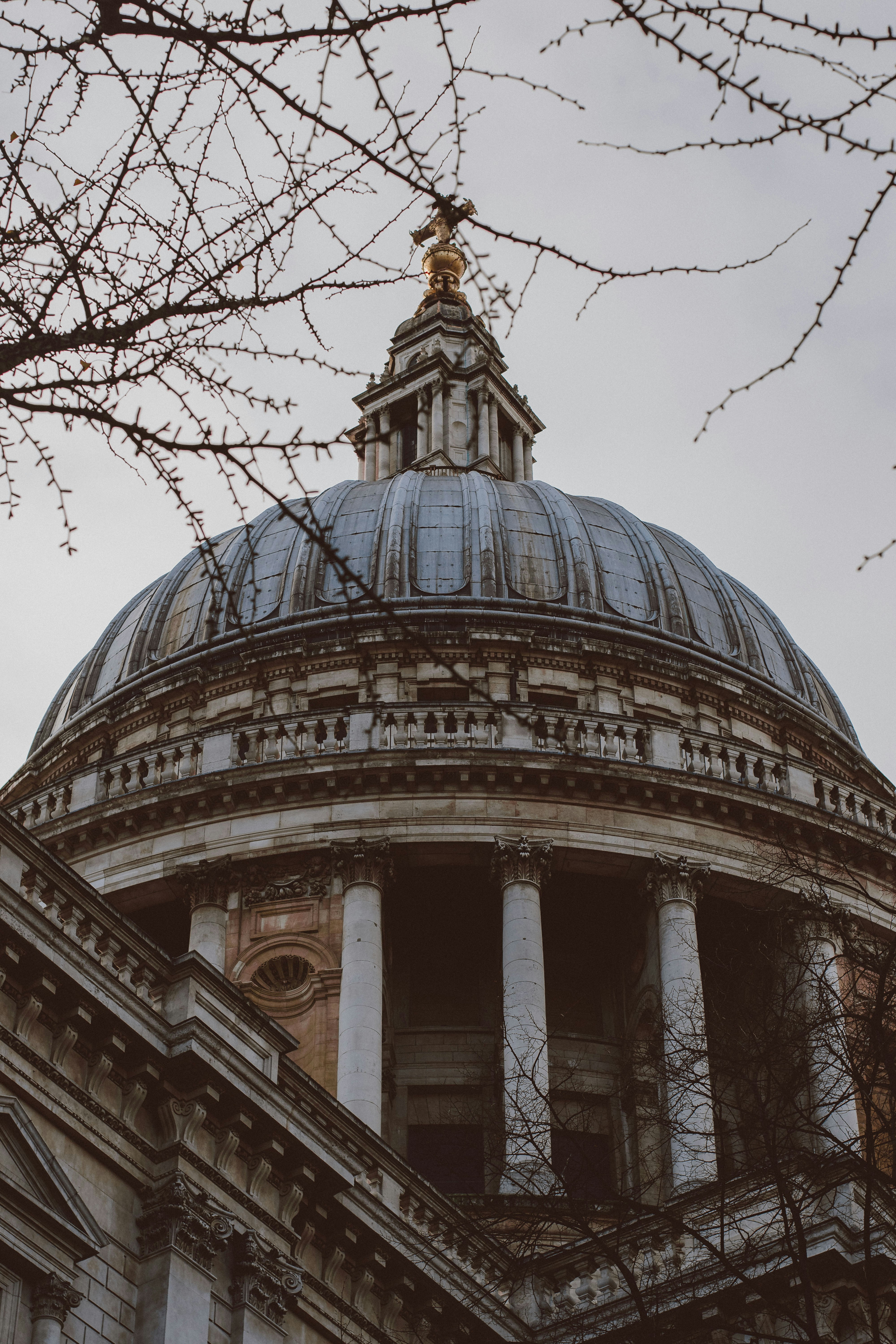 Photo by bnsouzafotografia