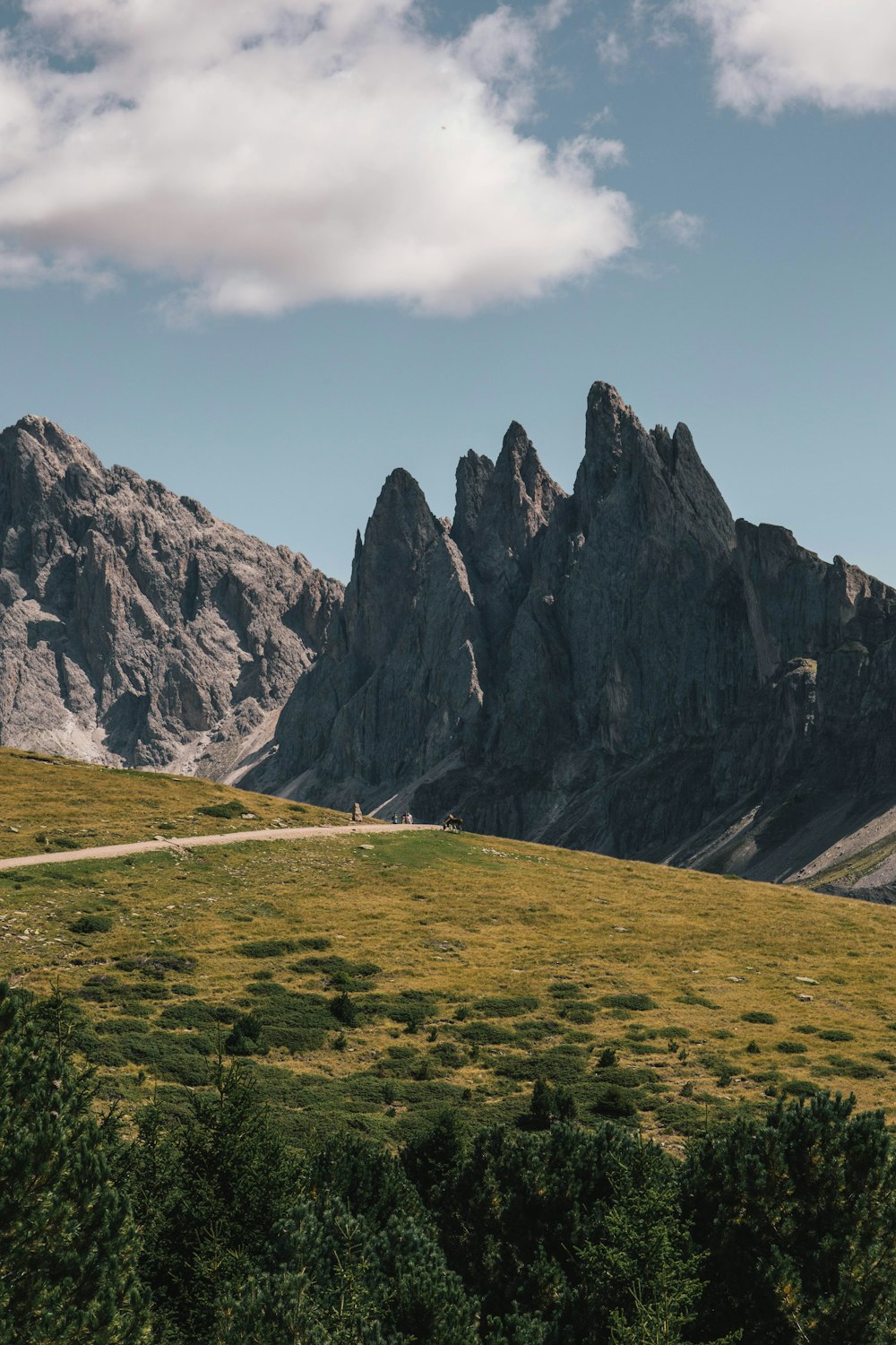 a mountain with trees and grass