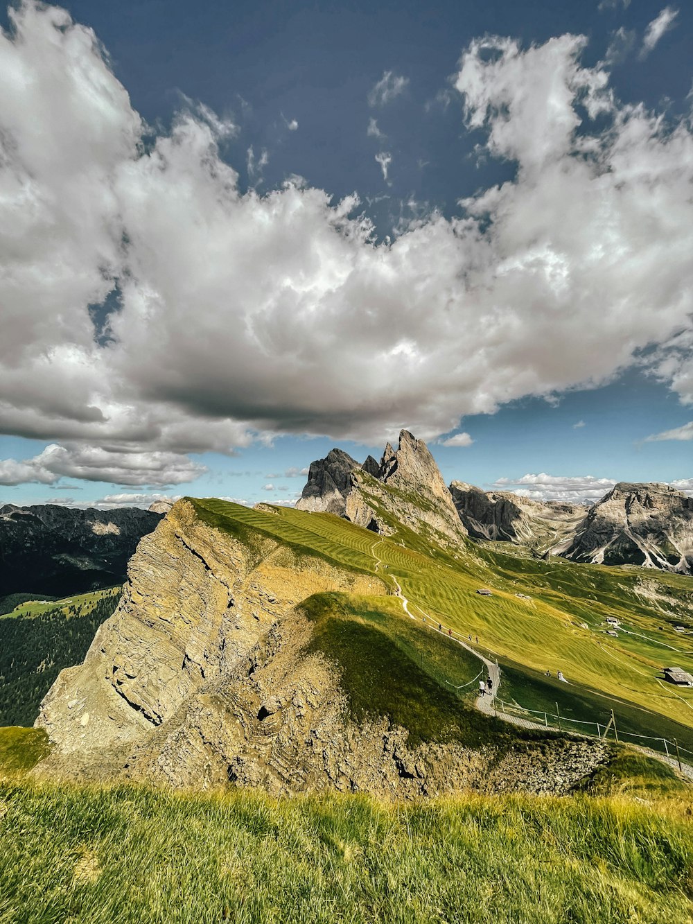 a grassy valley with mountains in the background