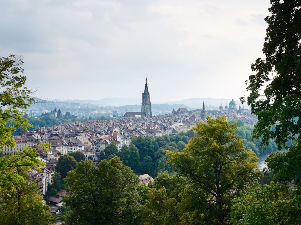 a city with trees and a tower