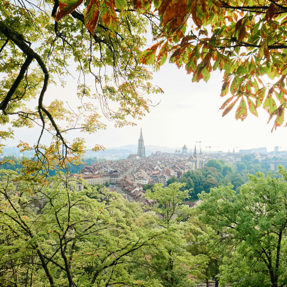 a view of a city from a tree