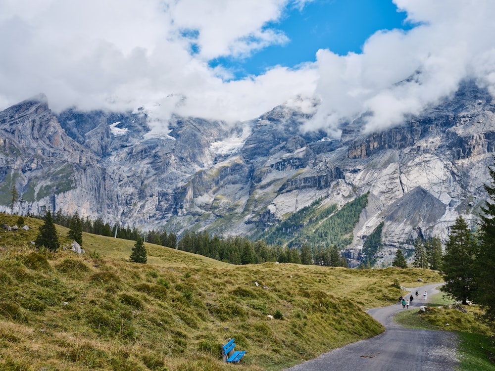 una collina erbosa con alberi e montagne sullo sfondo