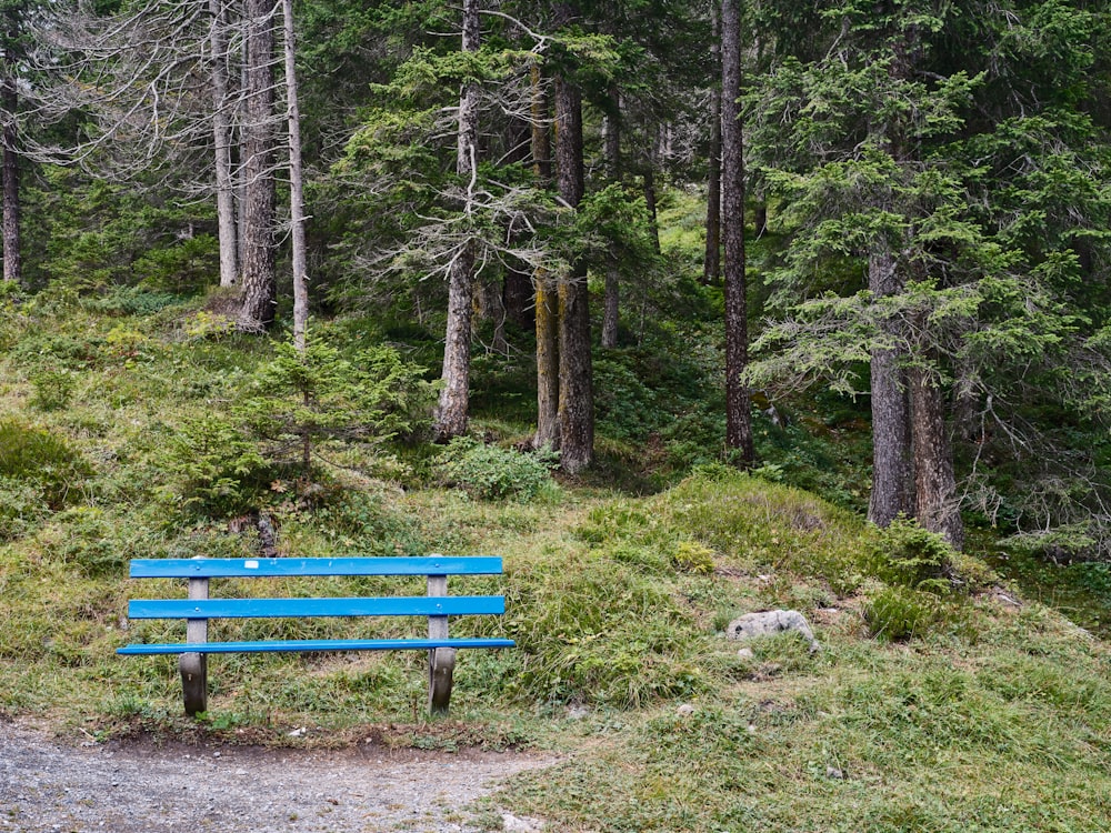 Una panchina blu in una foresta