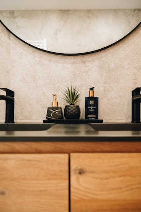 a plant on a counter