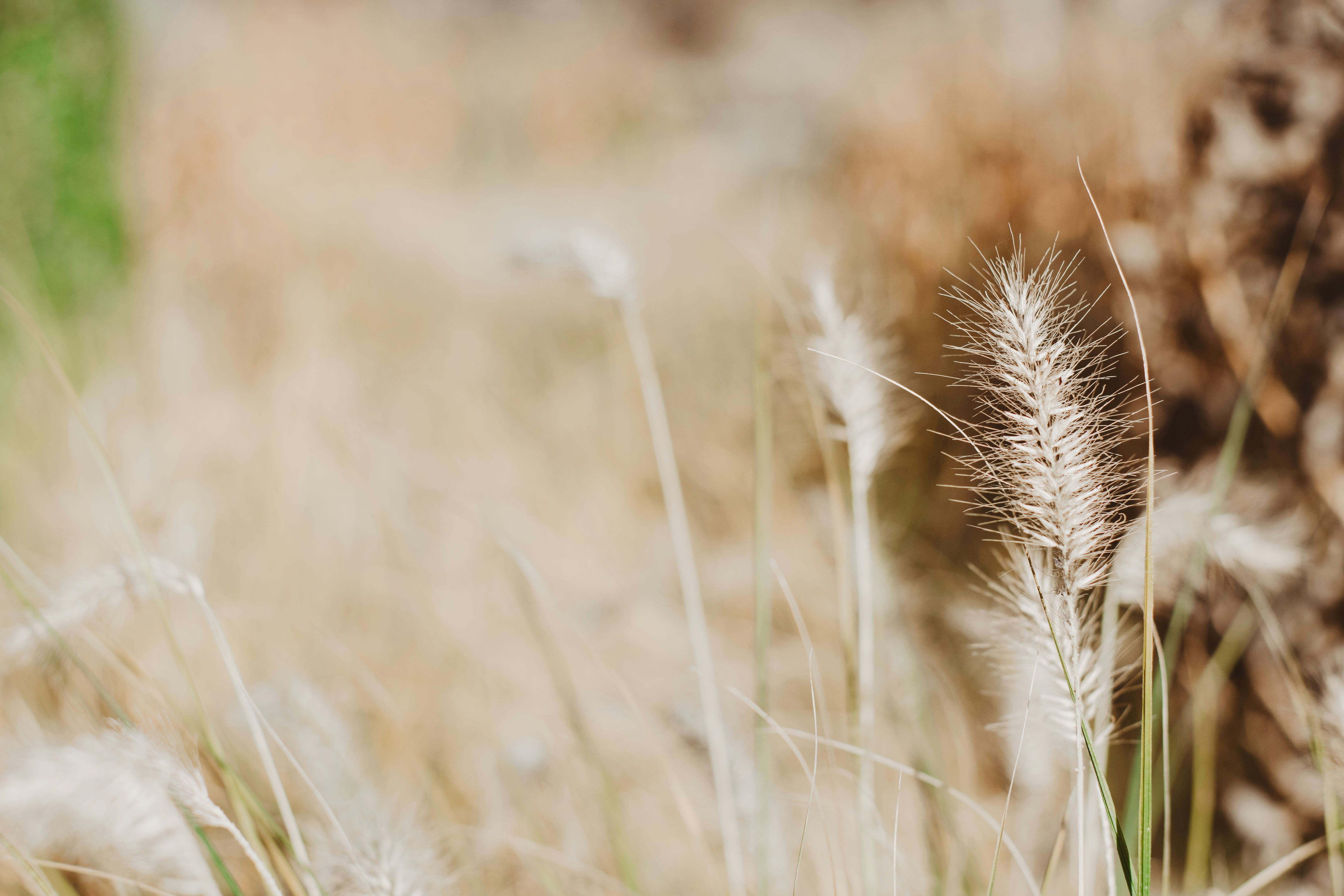 Photo by bnsouzafotografia